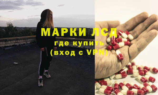 индика Майский