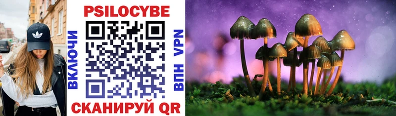 Галлюциногенные грибы Psilocybe  Починок 